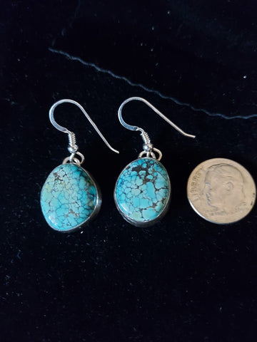 Natural Blue Moon Turquoise Earrings