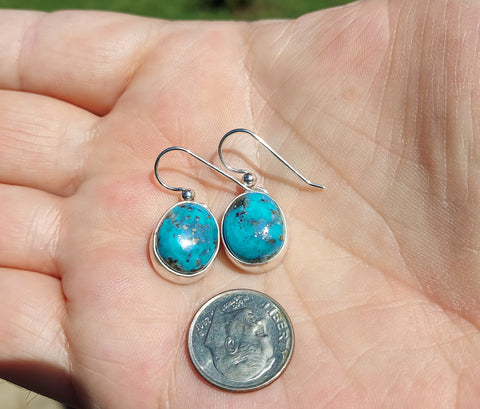 Campitos Turquoise Earings